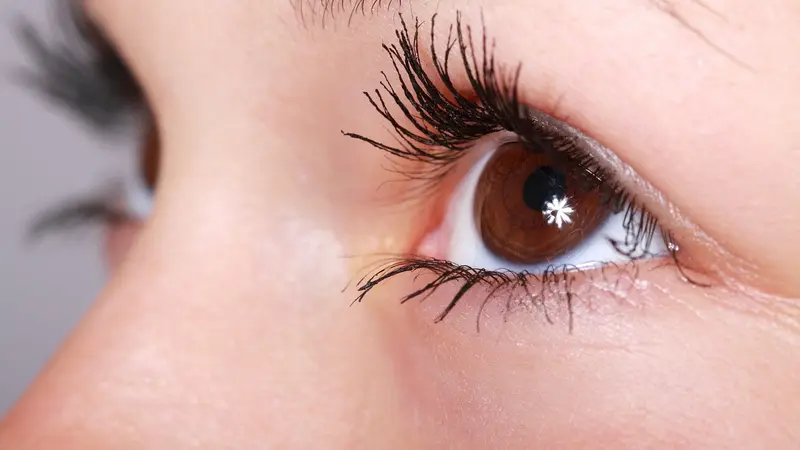 clubpitbullsalem.com